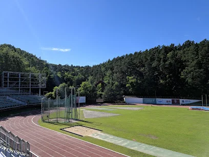 Stadion Lekkoatletyczny (ul. Wybickiego)
