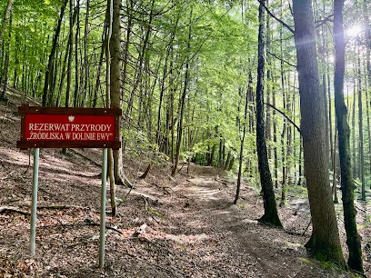 Trójmiejski Park Krajobrazowy